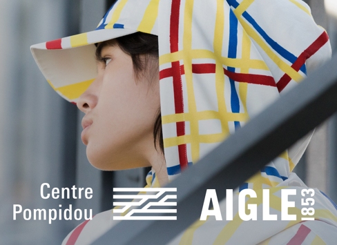 Aigle X Centre Pompidou