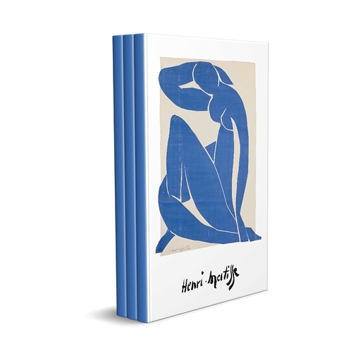 Carnet | Matisse Nu bleu II
