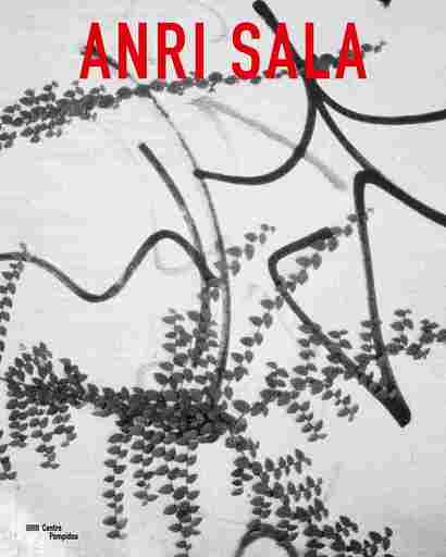 Anri Sala | Catalogue de l'exposition