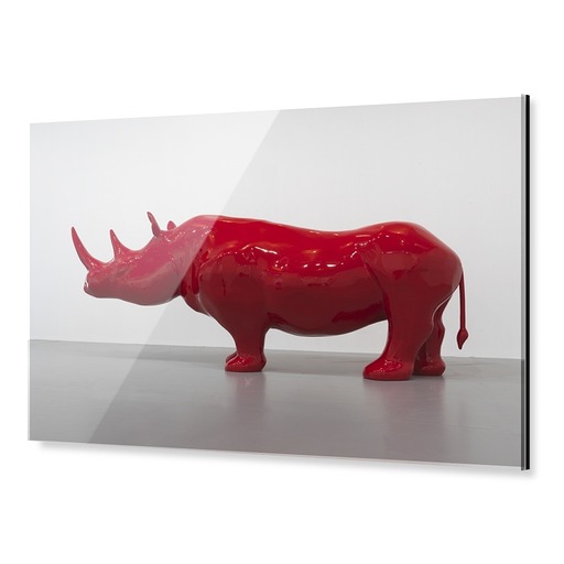 Impression sous Acrylique "Le Rhinocéros"
