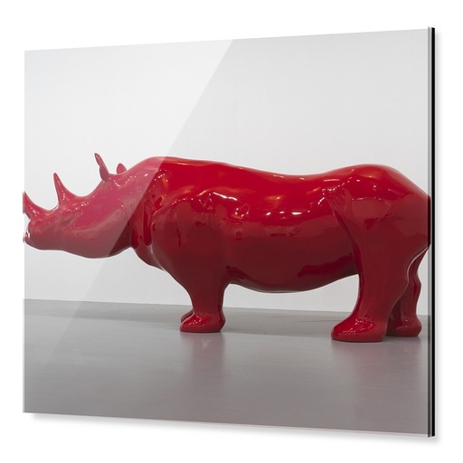 Impression sous Acrylique "Le Rhinocéros"