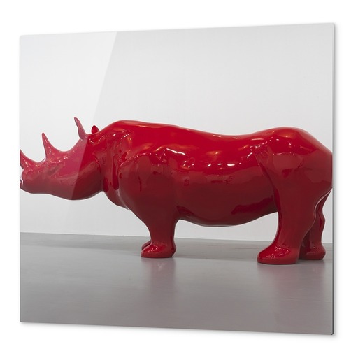 Impression Aluminium "Le Rhinocéros"